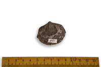 F 00921
          <br/>
          
          <br/>
          <em></em>
